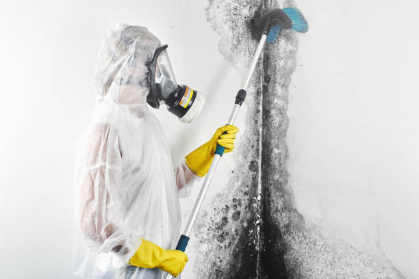 Best Air Quality Testing for Mold Spores  in Huntington, WV