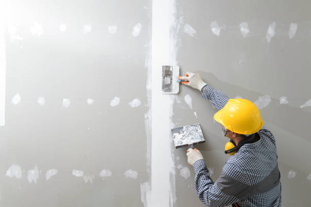 Reliable Huntington, WV Mold Removal Solutions