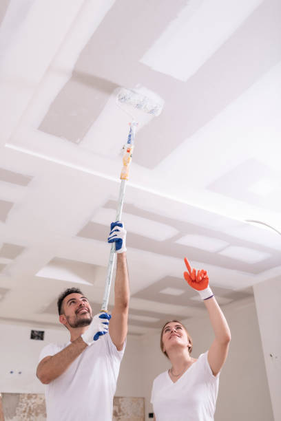 Best Black Mold Removal  in Huntington, WV
