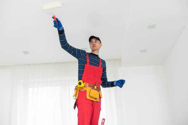 Best Mold Documentation for Insurance Claims  in Huntington, WV