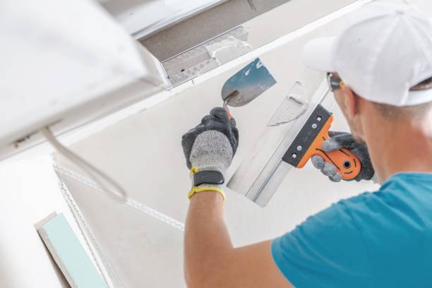 Best Environmental Consulting for Mold Prevention  in Huntington, WV